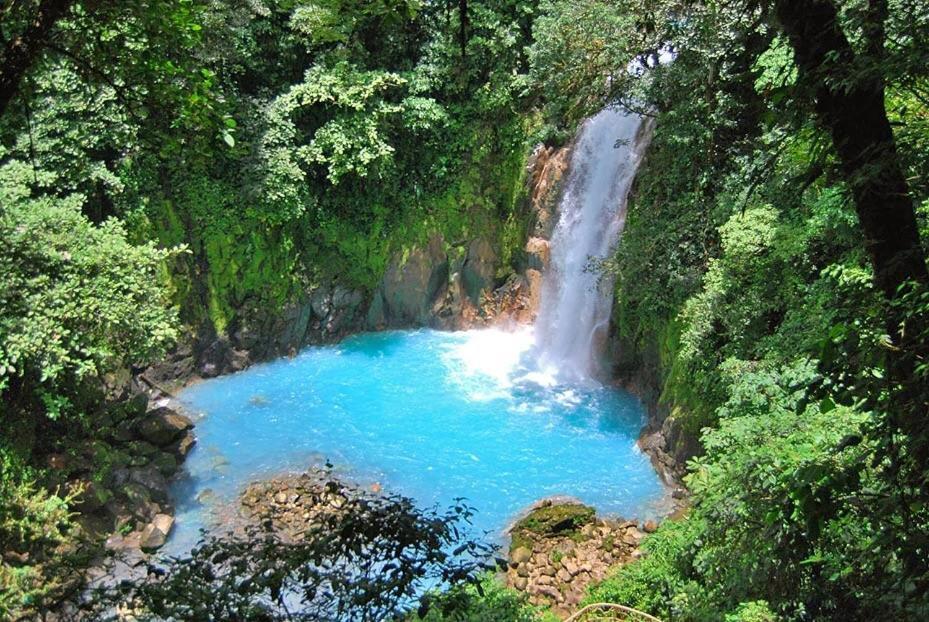 Xxx Blue Paradise - Rio Celeste Dreams Bijagua Dış mekan fotoğraf