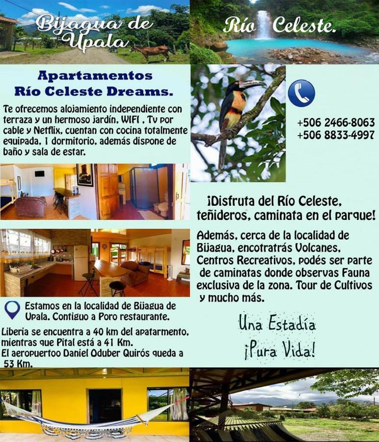 Xxx Blue Paradise - Rio Celeste Dreams Bijagua Dış mekan fotoğraf